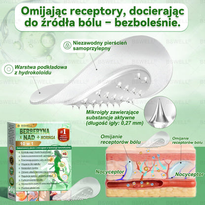 ⭐⭐BSWELL® Nano mikroigłowy plaster wyszczuplający (Raz dziennie, efekty już po 28 dniach ✅ Wspiera odchudzanie, serce, cukrzycę, sen, jelita, stawy i więcej.
